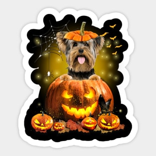 Yorkshire Terrier Spooky Halloween Pumpkin Dog Head Sticker